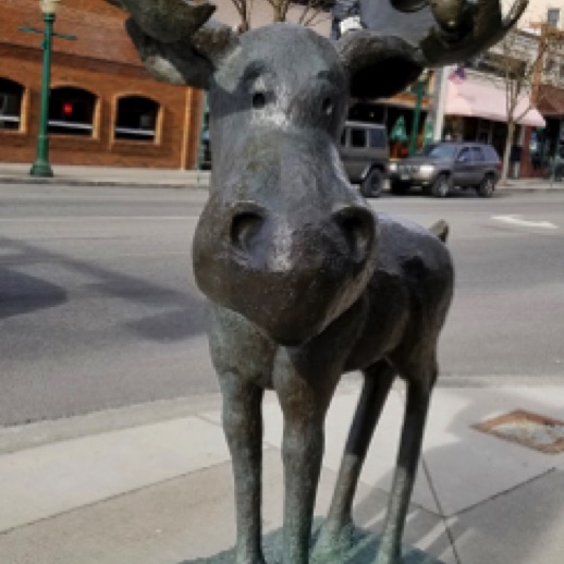 Moose sculpture
