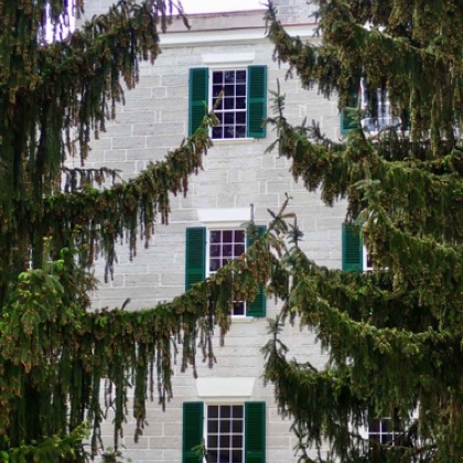 View peaking through the trees
