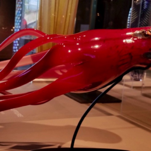 Chihuly - Shrimp
